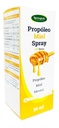 Propóleo Miel Spray Oral 30 mL Springlife