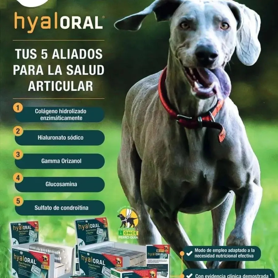 Hyaloral Raza Pequeña/Mediana Perro 90 Comprimidos Pharmadiet