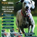 Hyaloral Raza Pequeña/Mediana Perro 90 Comprimidos Pharmadiet