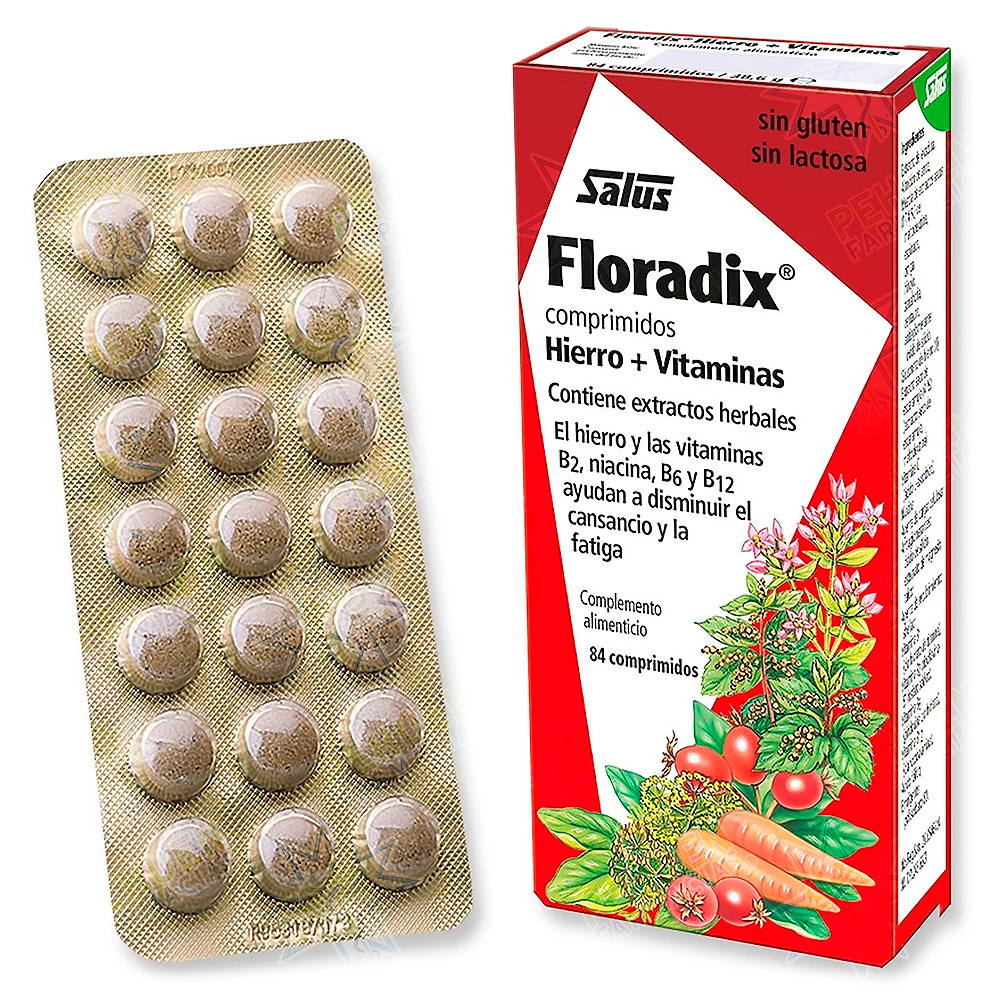 Floradix 84 Comprimidos Salus