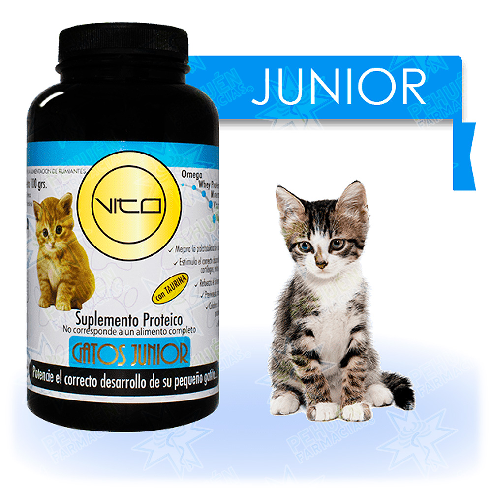 Vito Junior Gatos Polvo 100 g