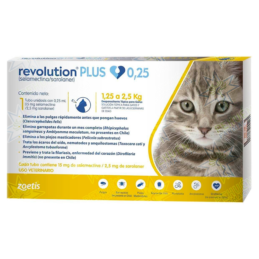 Revolution Plus Gatos (15/2,5) mg 1,25 - 2,5 kg Sol. Tópica 1 Pipeta 0,25 mL Zoetis