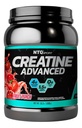 NTG Sport 1000 g Creatina Saborizada Monohidratada con Aminoácidos Advanced Sabor Fruit Punch