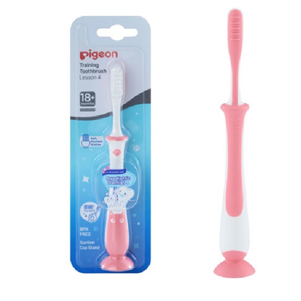 Pigeon Cepillo Dental Aprendizaje Etapa 4