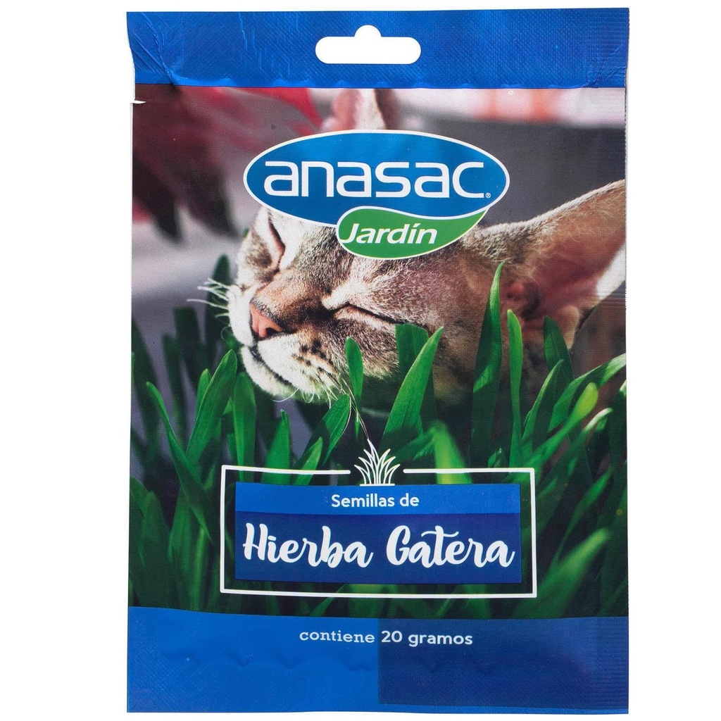 Catnip Hierba Gatera Semillas Sachet 20 g Anasac