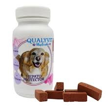 Qualyvit Masticable Hepato Protector Perros 120 g Qualivet