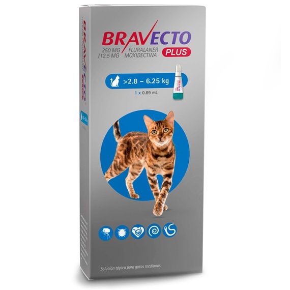 Bravecto Plus Gatos 2,8 - 6,25 kg Pipeta (250/12,5) mg Soluc. Tópica 12 Semanas MSD