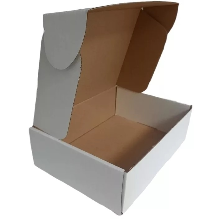 Caja Ecológica Autoarmable Mediana 20x14x6 cm