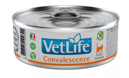 VetLife Alimento Húmedo Gatos en Recuperación (Recovery) Convalescence 85 g