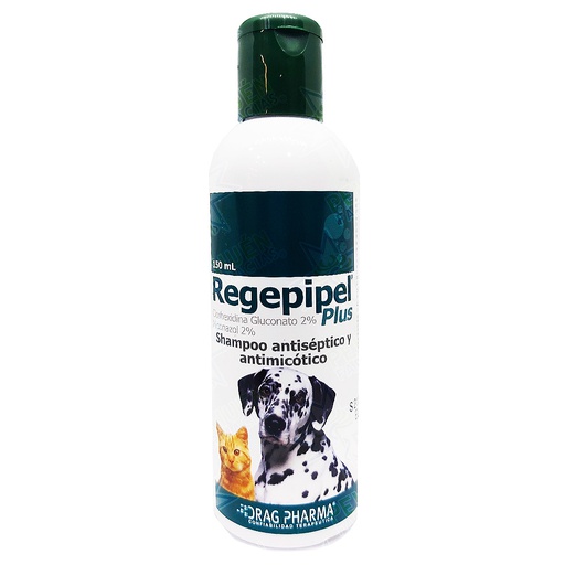 [7800006005169] Regepipel Plus (2/2) % Shampoo Perro/Gato 150 mL Drag Pharma