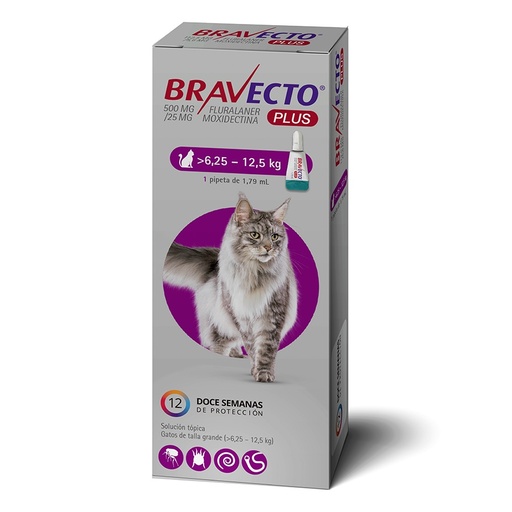[8713184192448] Bravecto Plus Gatos Talla Grande 6,25 - 12,5 kg Pipeta (500/25) mg Soluc. Tópica 12 Semanas MSD