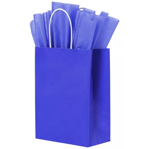 [BOLSA COLOR] Bolsa de Papel de Colores 21x15x8 cm