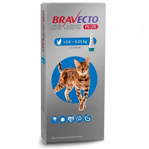 [8713184226143] Bravecto Plus Gatos 2,8 - 6,25 kg Pipeta (250/12,5) mg Soluc. Tópica 12 Semanas MSD